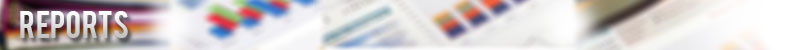 point of sales reports